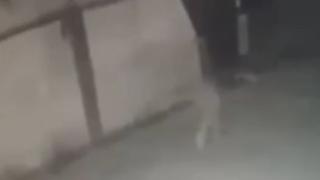 Шокиращо: Камера за видеонаблюдение улови как мъж изчезва като призрак на улицата (ВИДЕО)