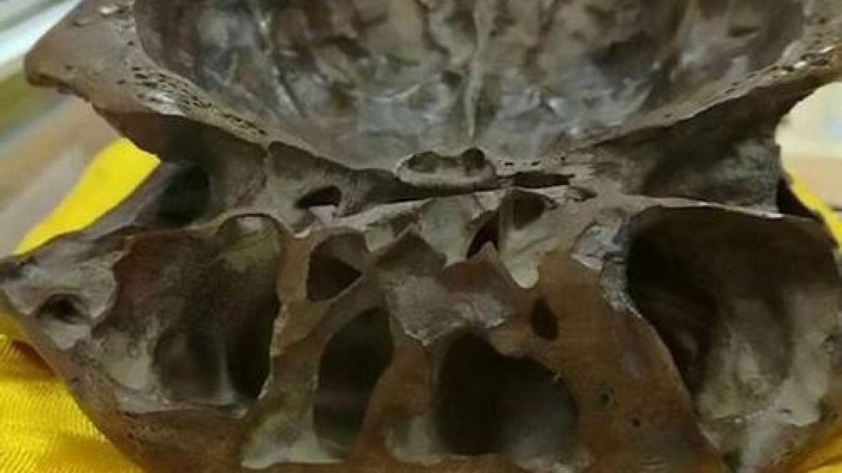 Данни от изследване на череп на извънземно бяха огласени на семинар в Пекин (ВИДЕО)