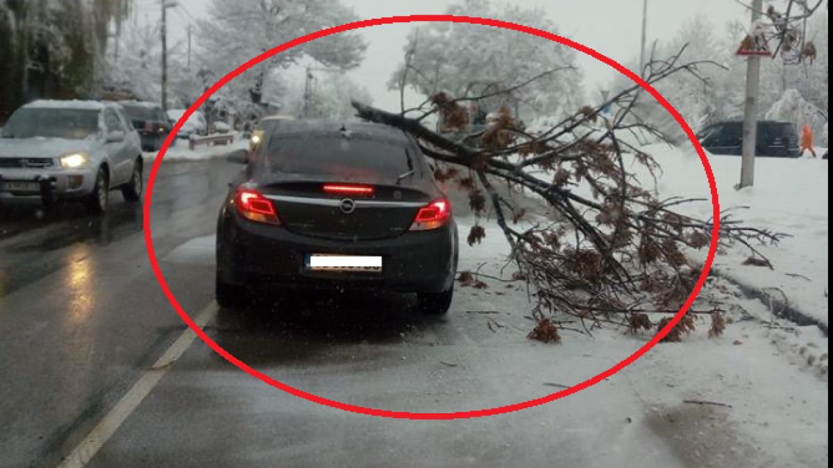Само в БЛИЦ! Снегът в София направи първата си голяма беля! (СНИМКА)