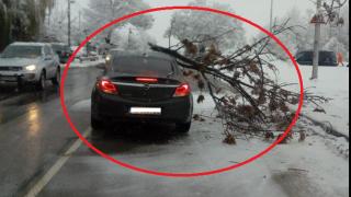 Само в БЛИЦ! Снегът в София направи първата си голяма беля! (СНИМКА)