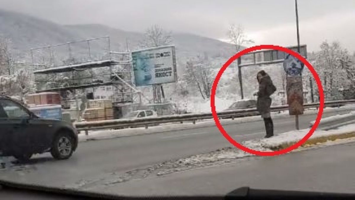 Само в БЛИЦ! Мацка по рокле застана на Столичното околовръстно, прекръсти се и тръгна да… (СНИМКИ/ВИДЕО)
