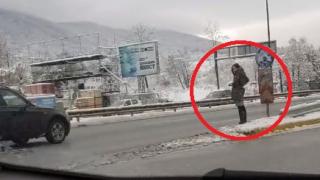 Само в БЛИЦ! Мацка по рокле застана на Столичното околовръстно, прекръсти се и тръгна да… (СНИМКИ/ВИДЕО)