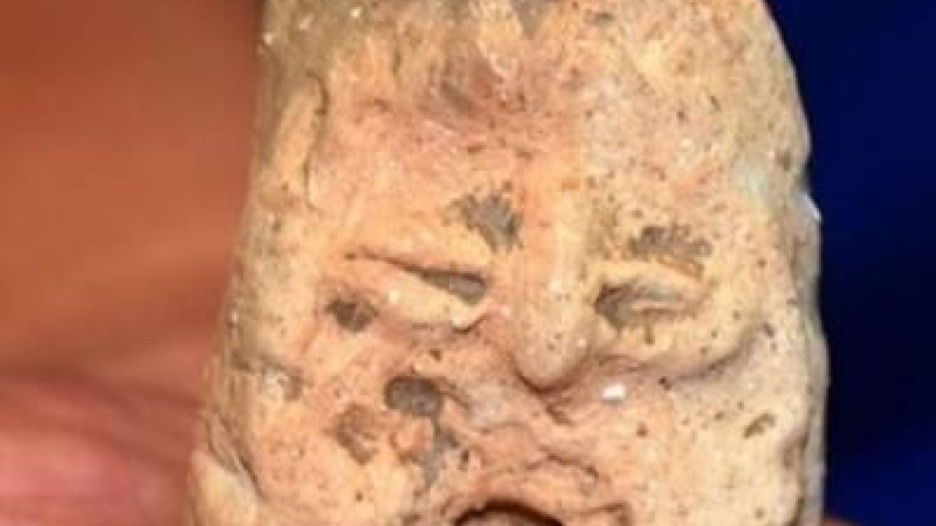 Археолози се натъкнаха на уникален артефакт край видинското село Майор Узуново (СНИМКА)