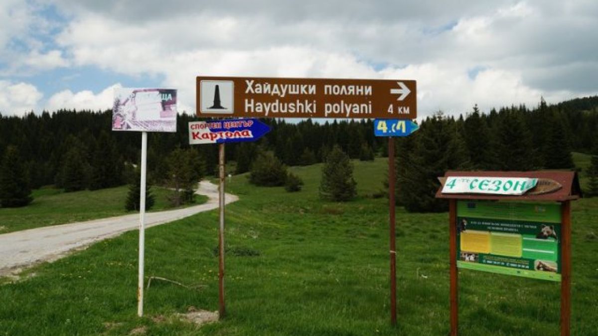 Ром без книжка: Аз, Исус и жената избягахме в гората