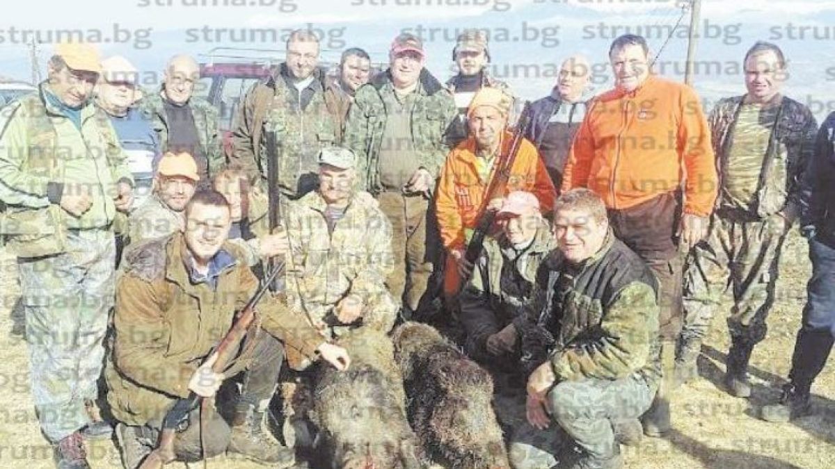 Ловци от Кръстилци приклещиха 10 глигана с масирана канонада (СНИМКА)