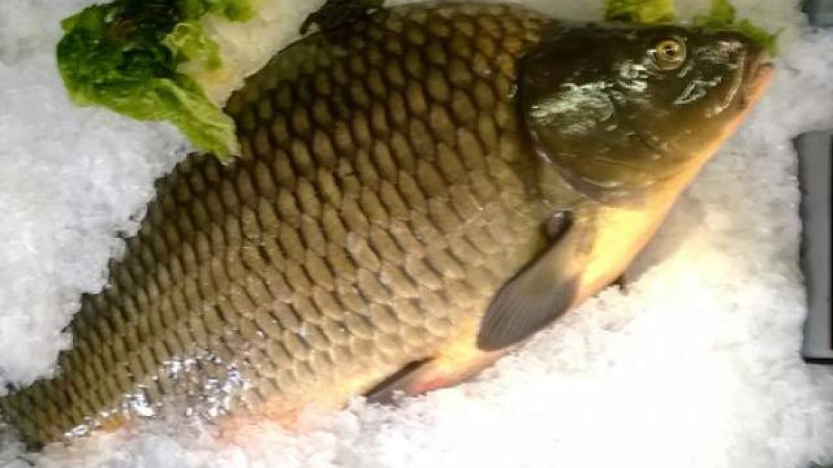 Вижте колко скочи цената на шарана за Никулден