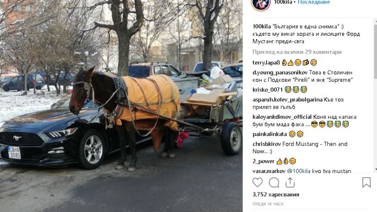 100 Кила изби рибата: Показа цяла България само в една СНИМКА