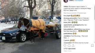 100 Кила изби рибата: Показа цяла България само в една СНИМКА