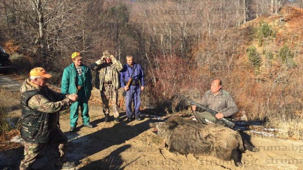 Канонада от куршуми гътна 320-килограмово чудовище край Симитли (СНИМКИ)