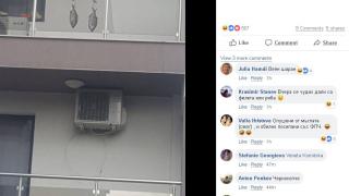Това ли е най-шантавата СНИМКА, която се появи този Никулден?