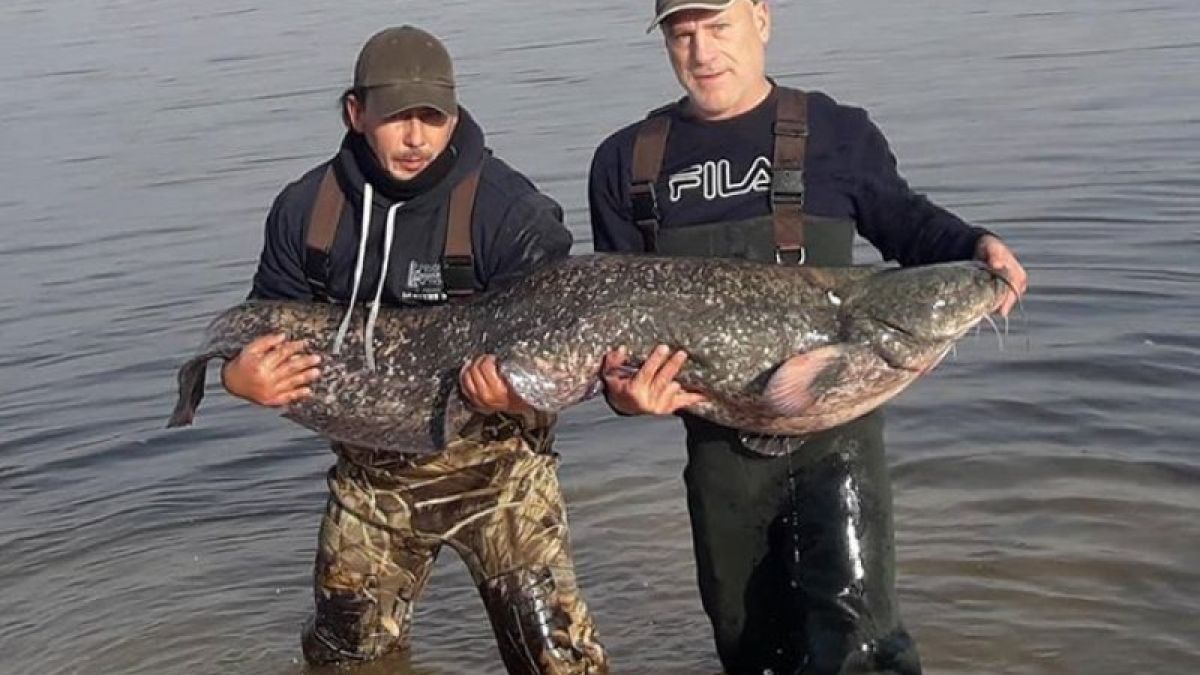 Няма да повярвате какво направи пловдивчанин със сом гигант (СНИМКИ/ВИДЕО)
