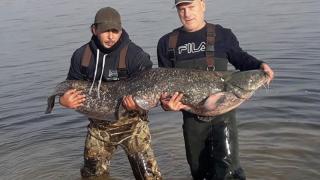 Няма да повярвате какво направи пловдивчанин със сом гигант (СНИМКИ/ВИДЕО)