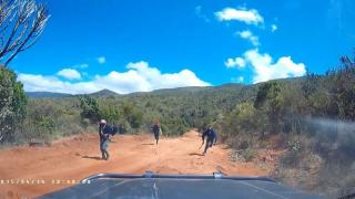 Драматично ВИДЕО: Бандити с мачете нападнаха двойка в автомобил, ето какво се случи