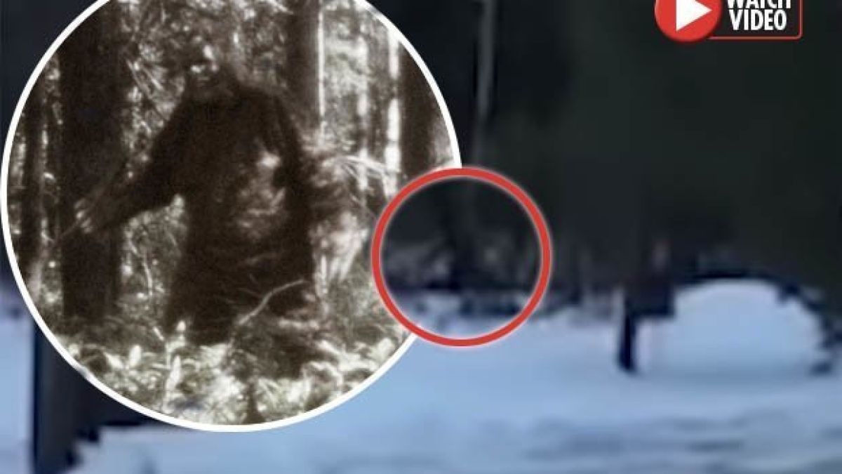 Доказателство за Голямата стъпка? Семейство засне мистериозно същество пред къщата си (ВИДЕО) 