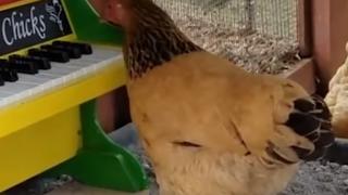 ВИДЕО: Неща, които повечето хора никога не са виждали преди