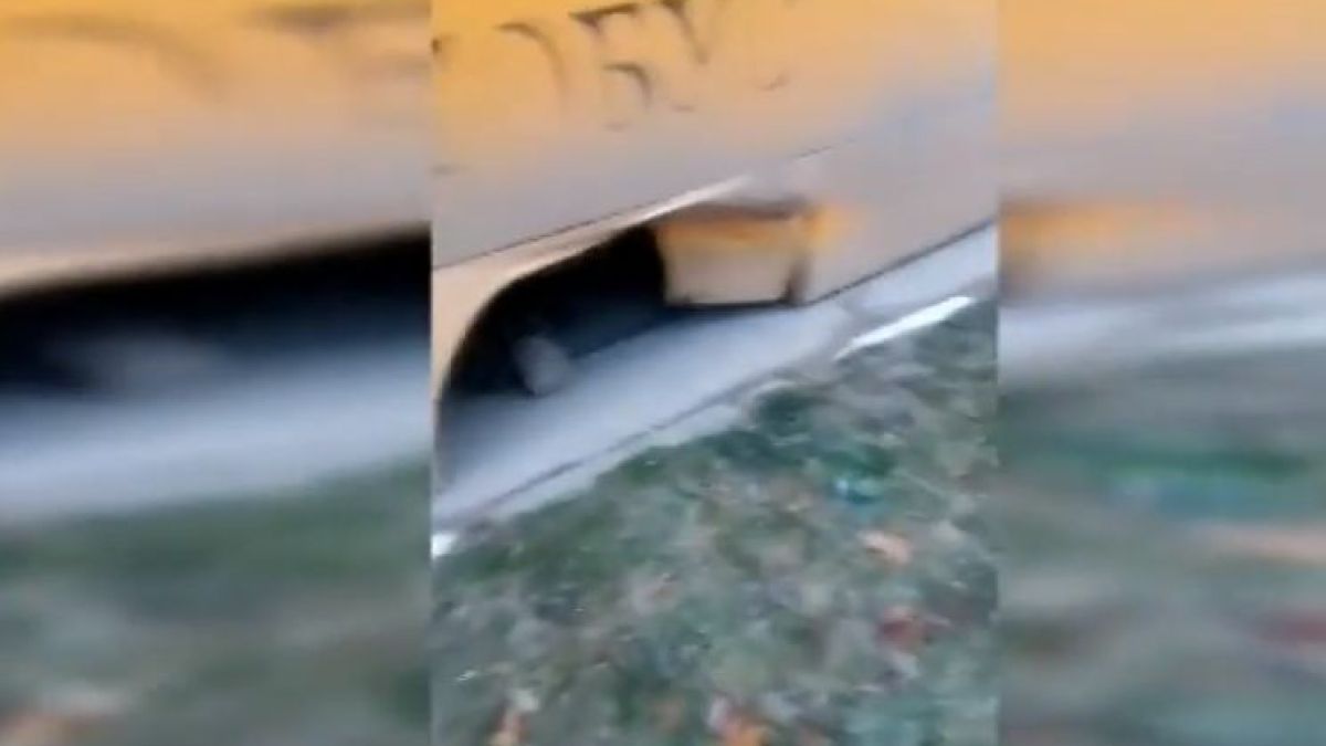 Ученически автобус, пълен с дечурлига, тръгна към Бойчиновци, но по пътя се случи нещо кошмарно (СНИМКИ/ВИДЕО)