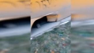Ученически автобус, пълен с дечурлига, тръгна към Бойчиновци, но по пътя се случи нещо кошмарно (СНИМКИ/ВИДЕО)