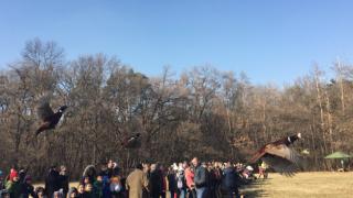 Нещо уникално се случи в Борисовата градина (СНИМКИ)
