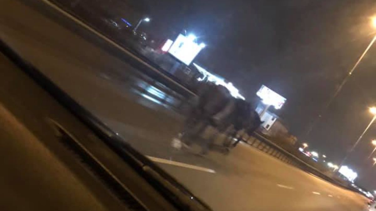 Не е за вярване какво се разхожда по Цариградско шосе (СНИМКА)