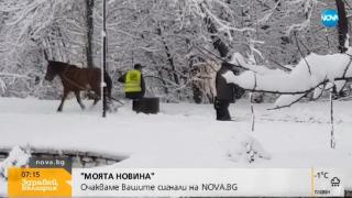 Виктор Николаев и Аделина Радева се изпуснаха в ефир и... 