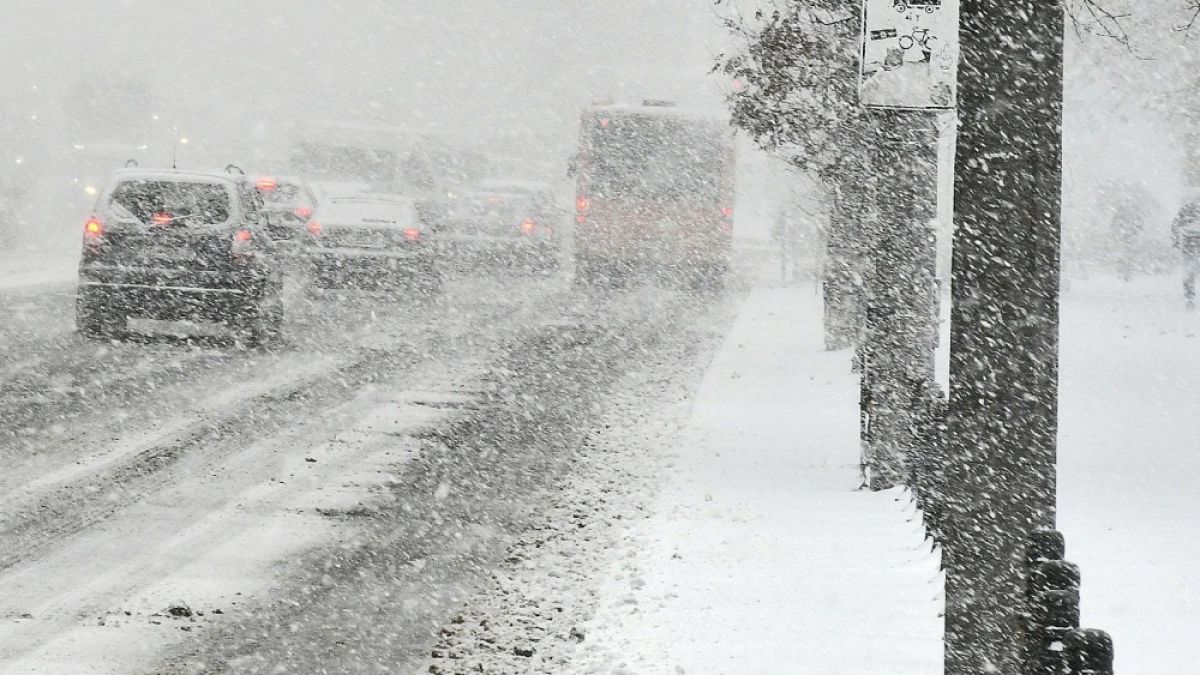 Стряскаща гледка, която може да убие човек, заснеха софиянци на пъпа на столицата (СНИМКА) 