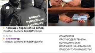 Срещу 396 лева нето! Търси се кандидат, който да бори корупцията в Пловдив 
