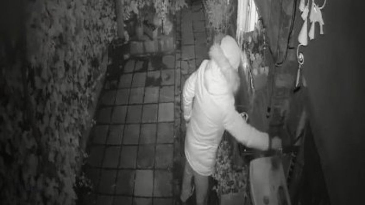 Пловдивчанин нахлу в чужд двор и направи голяма беля (ВИДЕО)