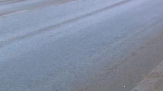 Ето как изглежда днес надлезът на смъртта на село Звъничево (СНИМКИ)