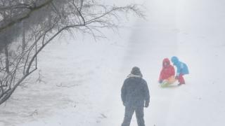 Няма желаещи за приемни родители