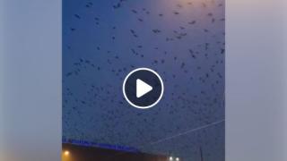 Само в БЛИЦ! Страшно знамение се появи в небето над София (ВИДЕО)