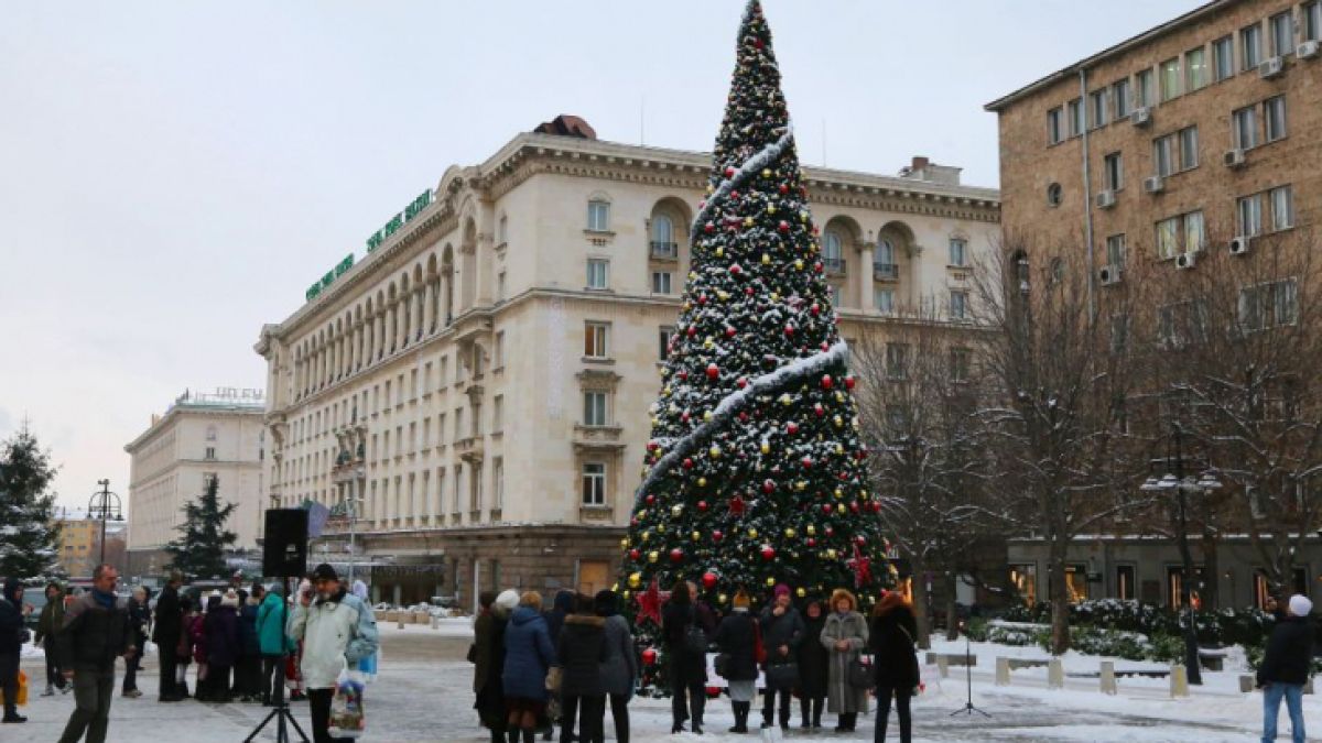 Външно министерство с критична позиция към руското посолство заради скандала с елхата!