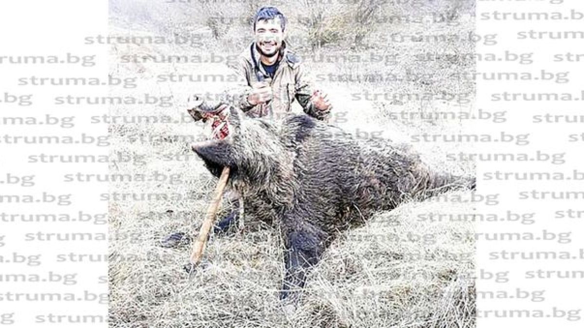 Авджиите на Теплен и Крибул с коледен трофей – 2 огромни звяра (СНИМКИ)
