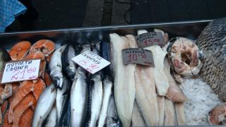 Най-полезната риба за по-възрастни хора е...