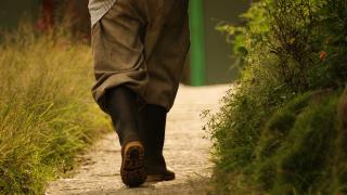 Белгийци се заселиха в поповско село, взеха си млад нашенец за помощник и съжалиха жестоко