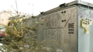 За Коледа и Нова година е било истинска сеч на елхи, ето какво да правим с ненужните дръвчета 