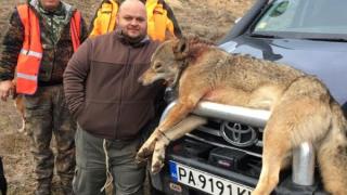 Панагюрецът Стоян отстреля 55-килограмов звяр, СНИМКИТЕ 18+ обаче взривиха социалните мрежи