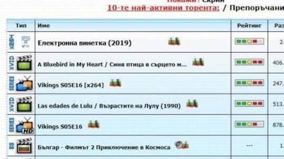 Само в БЛИЦ! Шега с електронната винетка взриви мрежата (СНИМКА)