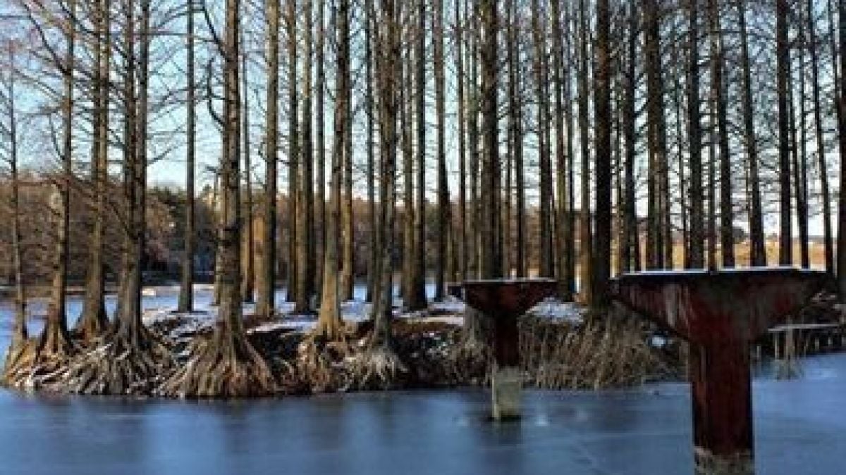 Студът сътвори нещо уникално край Русе (СНИМКИ)