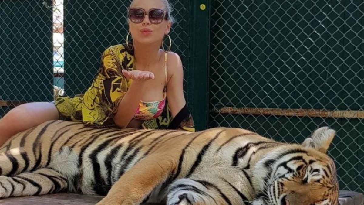Родна красавица бе нападната от тигър в Тайланд, едва я спасили от лапите на хищника