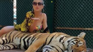 Родна красавица бе нападната от тигър в Тайланд, едва я спасили от лапите на хищника