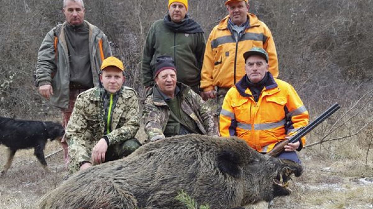 Авджия с над половинвековен стаж повали страшен звяр край Сатовча (СНИМКА)