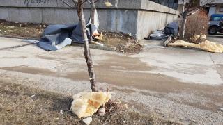 БЛИЦ TV: Това са поразиите от стихията, която удари изневиделица Подбалкана!