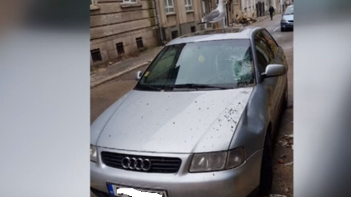 Тази СНИМКА стана хит в мрежата! Камъни падат зад операта във Варна, а тази сутрин...