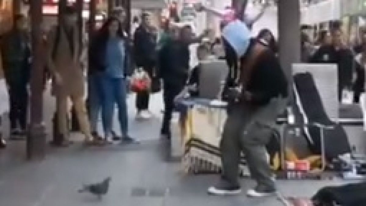 Уникално ВИДЕО: Откриха най-танцувалния гълъб на света