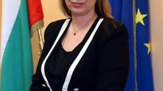 "Шамарената фабрика": Близо 10 000 сигнала за насилие над деца получени на горещия телефон