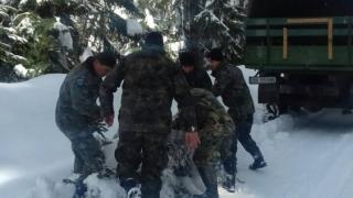 Зрелищни СНИМКИ от борбата на военни с тежките зимни условия на прохода Превала