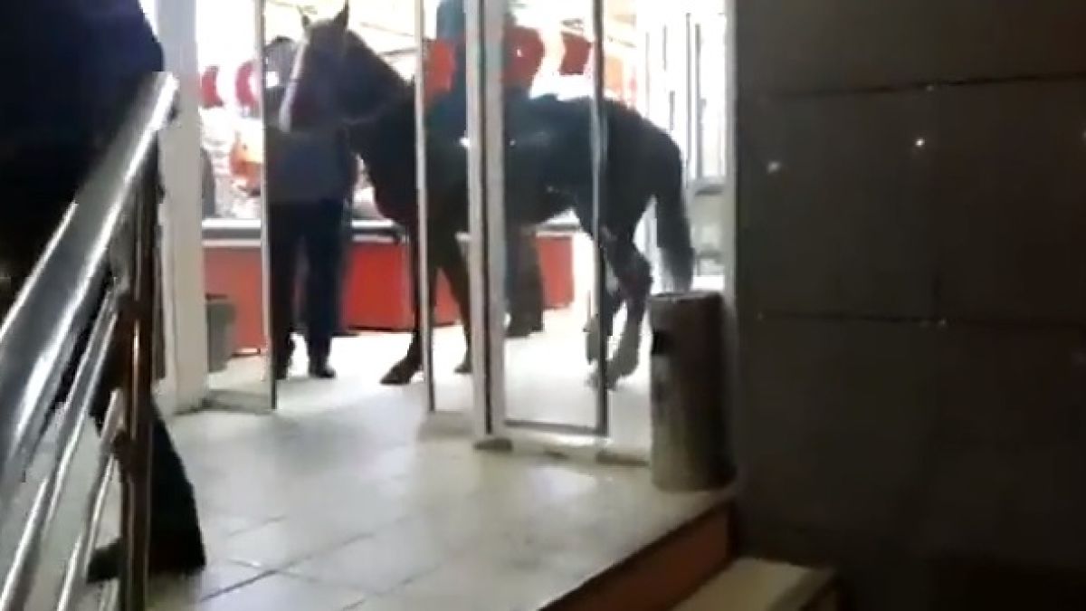 Пиян мъж се качи на кон, а после направи нещо много смешно (ВИДЕО)