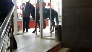 Пиян мъж се качи на кон, а после направи нещо много смешно (ВИДЕО)