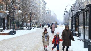 Еколог разкри какви опасности идат след зима без сняг