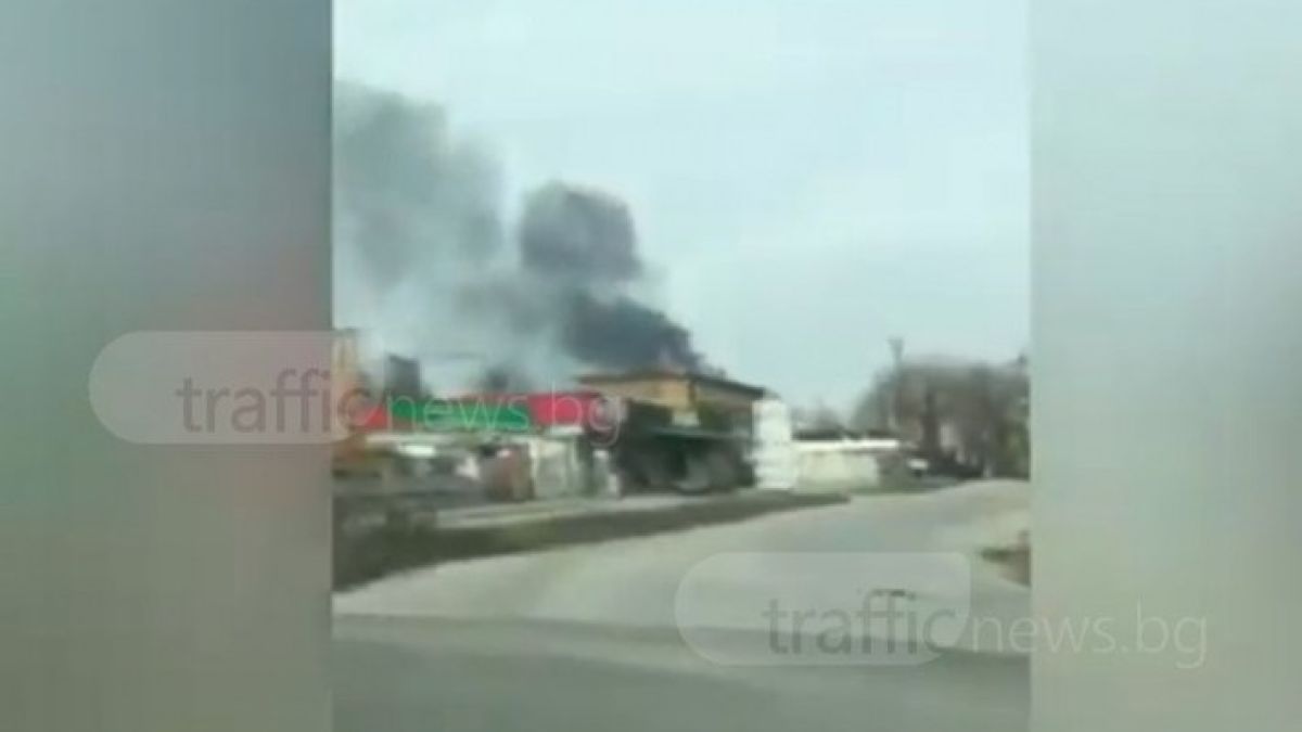 Пловдивчани пак пропищяха заради циганите, този път... (ВИДЕО)